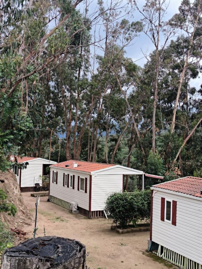 Mira Monti Location Otel Belvedere-Campomoro Dış mekan fotoğraf