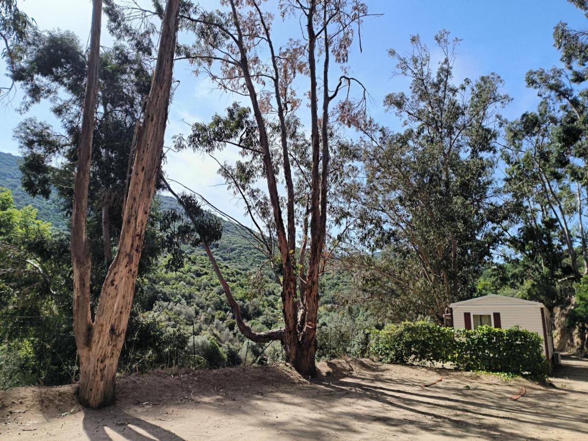 Mira Monti Location Otel Belvedere-Campomoro Dış mekan fotoğraf